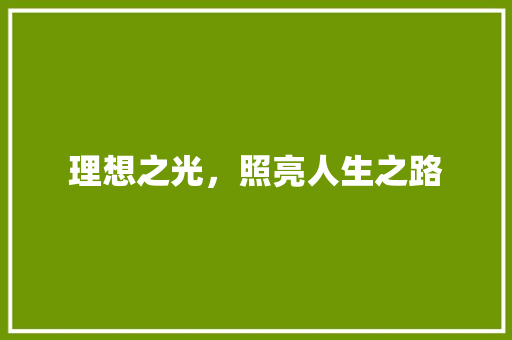 理想之光，照亮人生之路