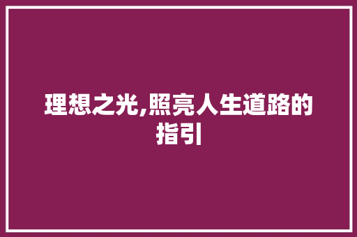 理想之光,照亮人生道路的指引