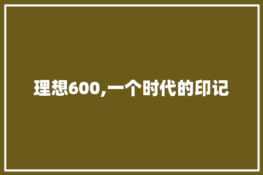 理想600,一个时代的印记