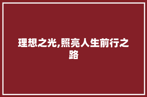 理想之光,照亮人生前行之路