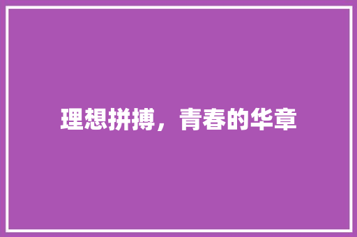 理想拼搏，青春的华章