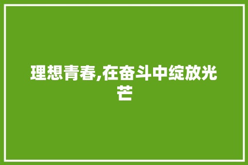 理想青春,在奋斗中绽放光芒