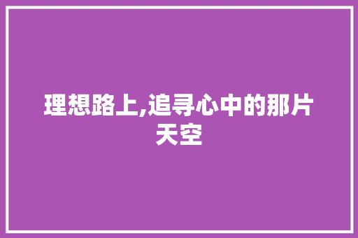 理想路上,追寻心中的那片天空