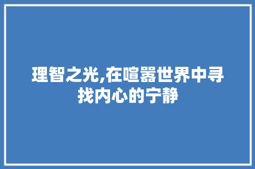 理智之光,在喧嚣世界中寻找内心的宁静