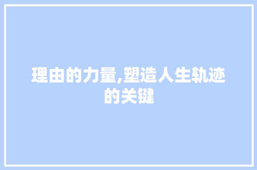 理由的力量,塑造人生轨迹的关键