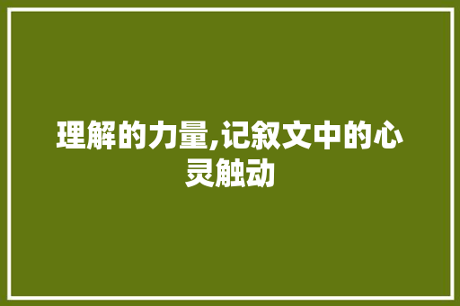 理解的力量,记叙文中的心灵触动