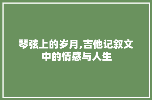 琴弦上的岁月,吉他记叙文中的情感与人生