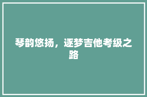 琴韵悠扬，逐梦吉他考级之路