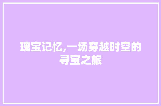 瑰宝记忆,一场穿越时空的寻宝之旅