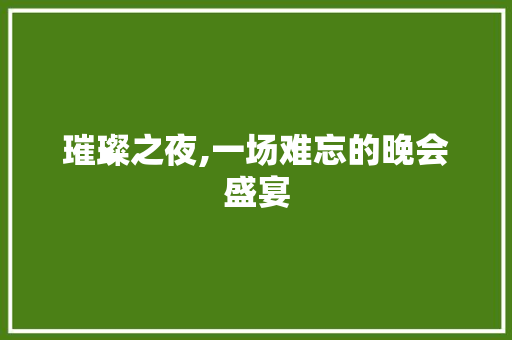 璀璨之夜,一场难忘的晚会盛宴