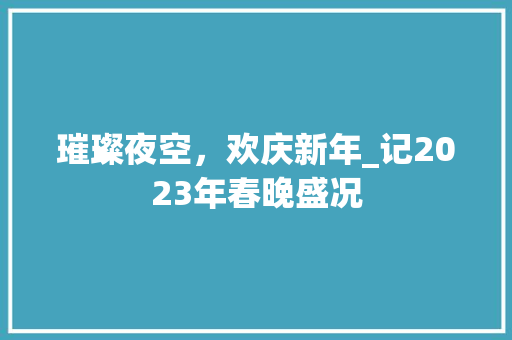 璀璨夜空，欢庆新年_记2023年春晚盛况