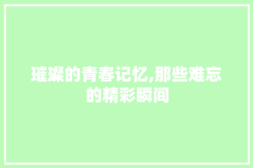 璀璨的青春记忆,那些难忘的精彩瞬间