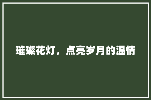 璀璨花灯，点亮岁月的温情