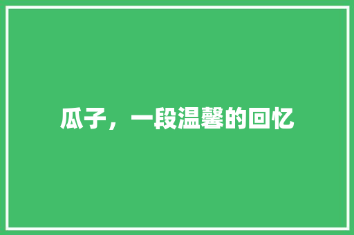 瓜子，一段温馨的回忆