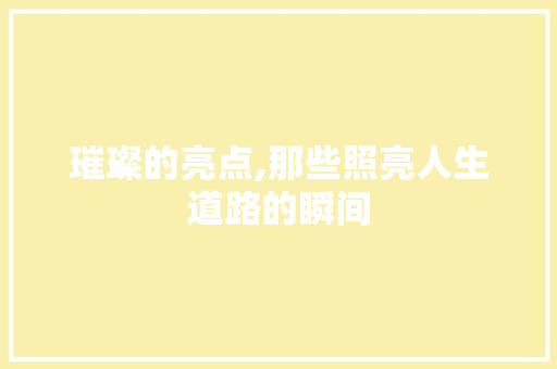 璀璨的亮点,那些照亮人生道路的瞬间