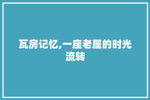 瓦房记忆,一座老屋的时光流转