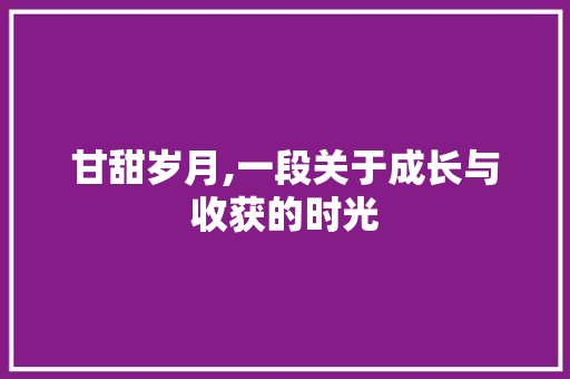 甘甜岁月,一段关于成长与收获的时光