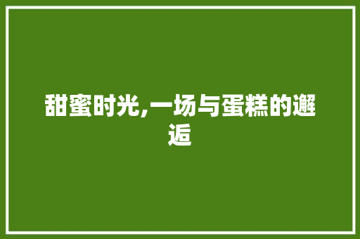 甜蜜时光,一场与蛋糕的邂逅