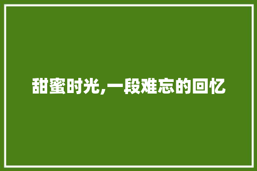 甜蜜时光,一段难忘的回忆