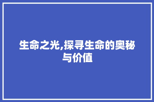 生命之光,探寻生命的奥秘与价值