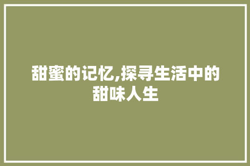 甜蜜的记忆,探寻生活中的甜味人生