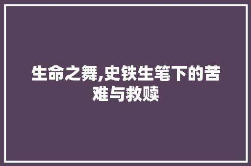 生命之舞,史铁生笔下的苦难与救赎