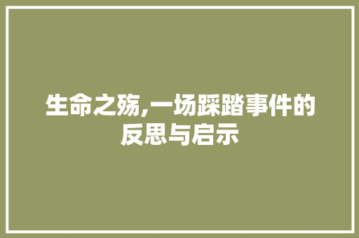 生命之殇,一场踩踏事件的反思与启示