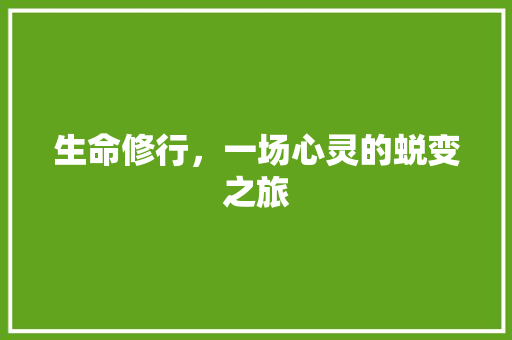 生命修行，一场心灵的蜕变之旅