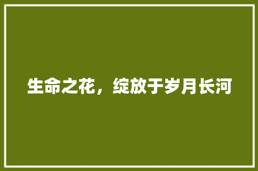 生命之花，绽放于岁月长河