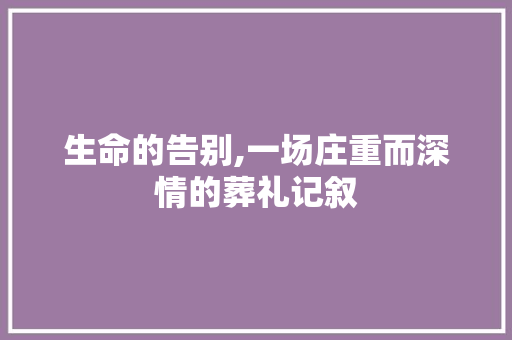 生命的告别,一场庄重而深情的葬礼记叙