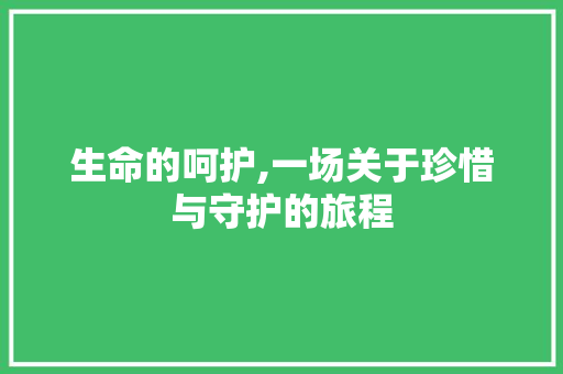 生命的呵护,一场关于珍惜与守护的旅程