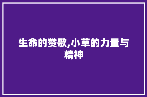 生命的赞歌,小草的力量与精神