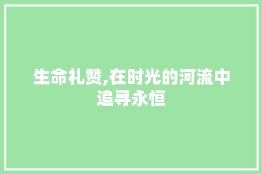 生命礼赞,在时光的河流中追寻永恒