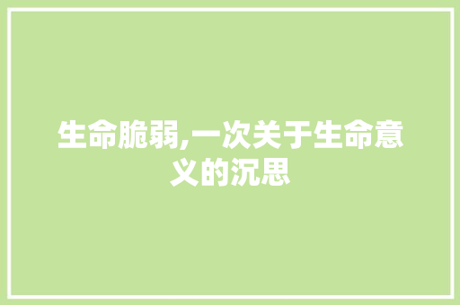 生命脆弱,一次关于生命意义的沉思