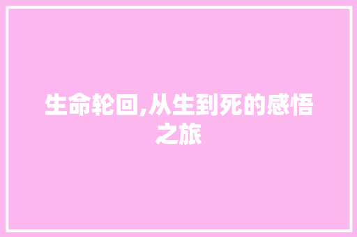 生命轮回,从生到死的感悟之旅