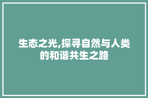 生态之光,探寻自然与人类的和谐共生之路