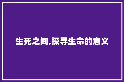 生死之间,探寻生命的意义