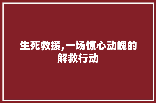 生死救援,一场惊心动魄的解救行动