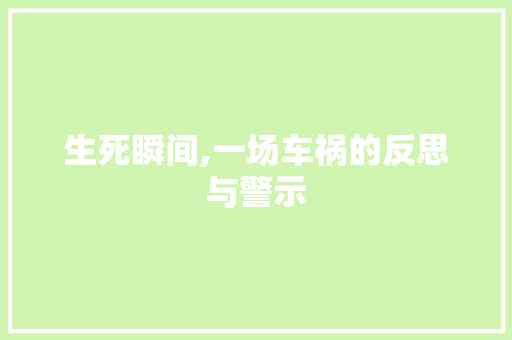 生死瞬间,一场车祸的反思与警示