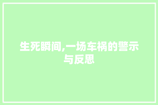 生死瞬间,一场车祸的警示与反思