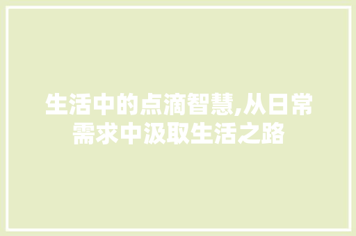 生活中的点滴智慧,从日常需求中汲取生活之路