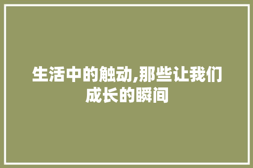 生活中的触动,那些让我们成长的瞬间