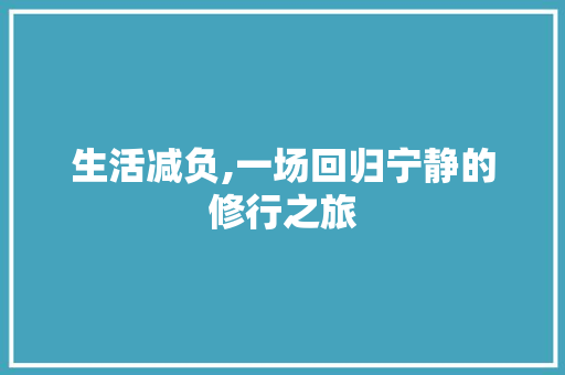 生活减负,一场回归宁静的修行之旅 申请书范文