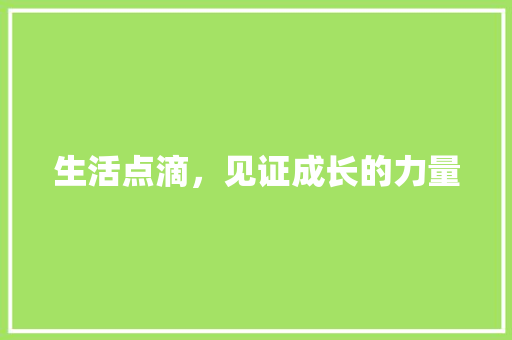 生活点滴，见证成长的力量