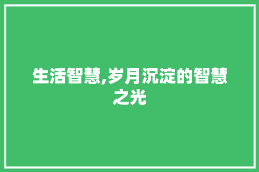 生活智慧,岁月沉淀的智慧之光