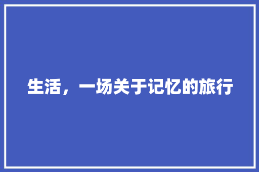 生活，一场关于记忆的旅行