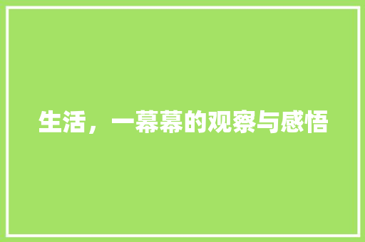 生活，一幕幕的观察与感悟