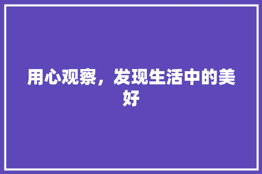 用心观察，发现生活中的美好