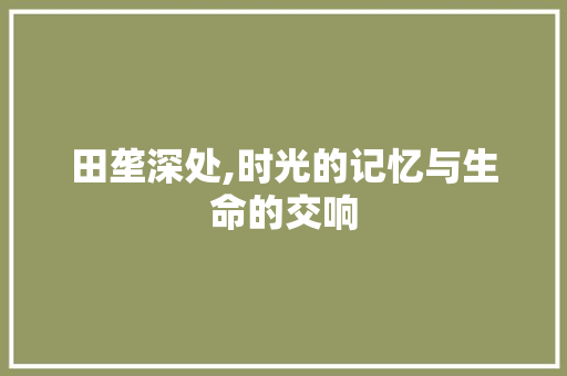 田垄深处,时光的记忆与生命的交响