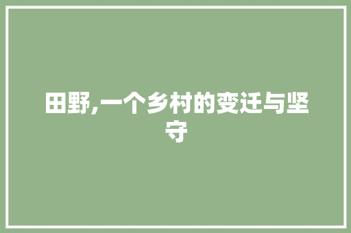 田野,一个乡村的变迁与坚守